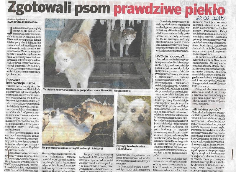 Zgotowali psom prawdziwe piekło