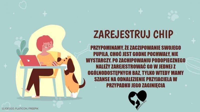 Zarejestruj Chip. Przypominamy, że choć jest godne pochwały, nie wystarczy. Po zachipowaniu podopiecznego należy zarejestrować go w jednej z ogólnodostępnych baz, tylko wtedy mamy szanse na odnalezienie przyjaciela w przypadku jego zaginięcia.